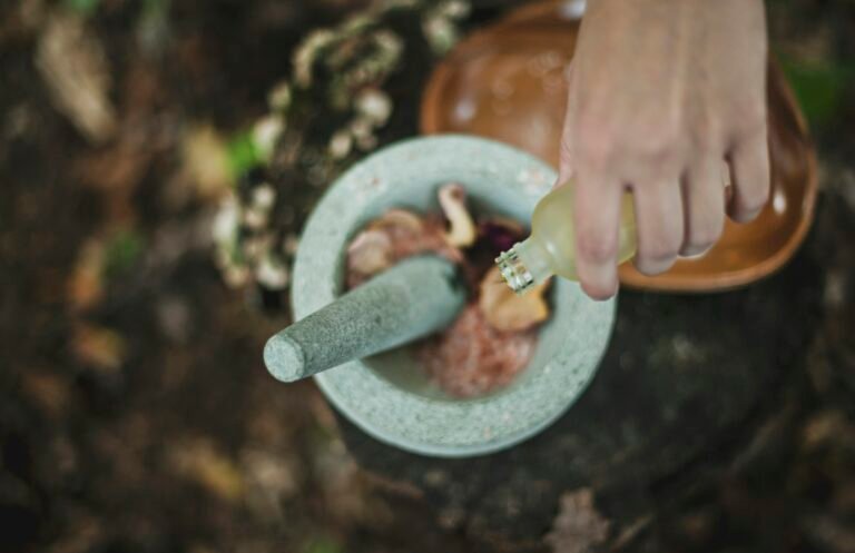 Ayurveda herbs